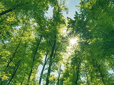 Laubach Factory Outside